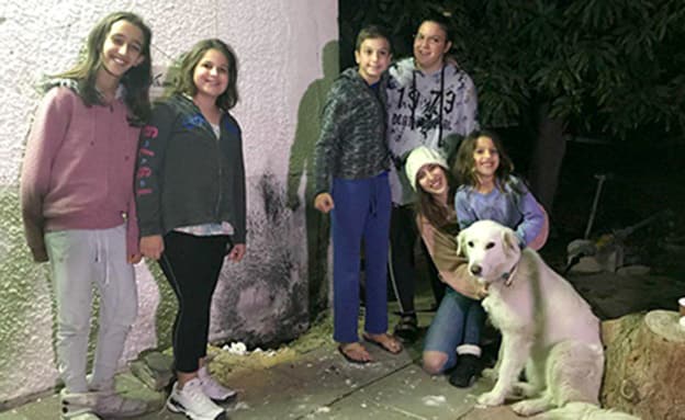 ���� ���� ������ �� ���� ������