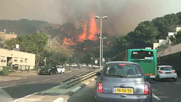 מדובר בהצתה? השריפה בחיפה (שרון באום)