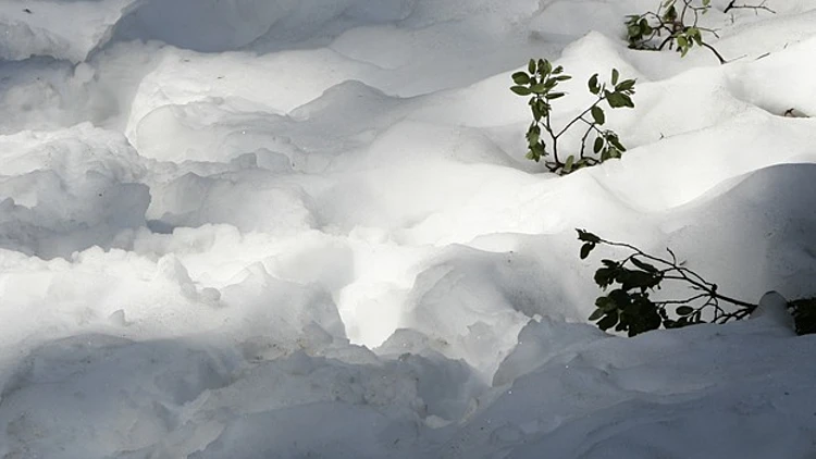 צפו: מעטה שלג בפארק יוסמיטי