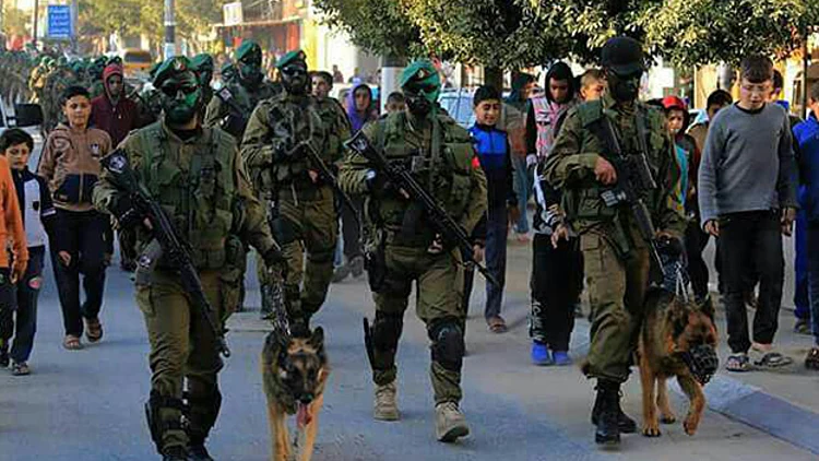 מצעד צבאי של החמאס בעזה. כך נראו אנשי חמאס עם הכלבים