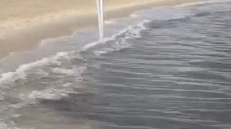 זיהום בים בחוף גורדון בתל אביב
