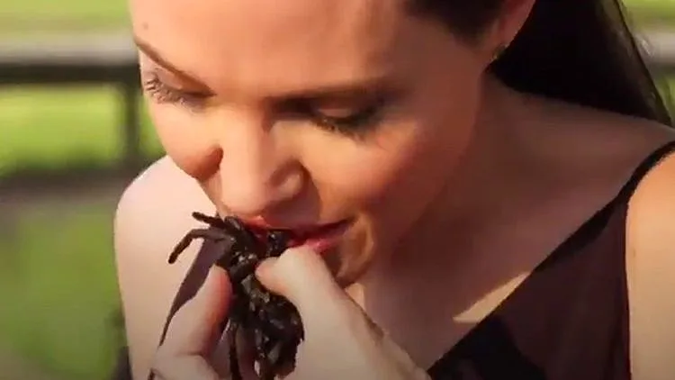 מה גרם לאנג'לינה ג'ולי לבשל ולאכול חרקים?