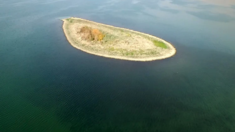 האי בכינרת
