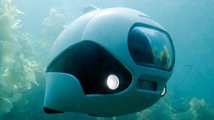 ביקי, דג הרובוט הביוני הראשון