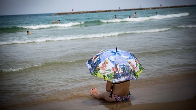 יובש קיצוני במישור החוף (Miriam Alster/ FLASH90)