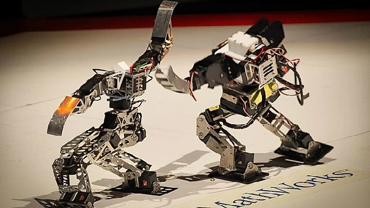 רובוטים קרב אגרוף תחרות robo-one ביפן