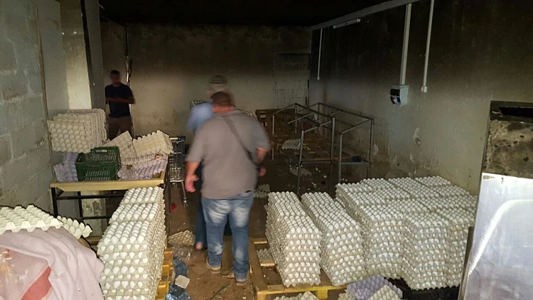 30 אלף ביצים מסוכנות למאכל אדם שנמצאו בביתו של תושב שפרעם