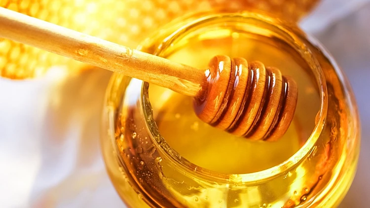 כל מה שרציתם לדעת על דבש
