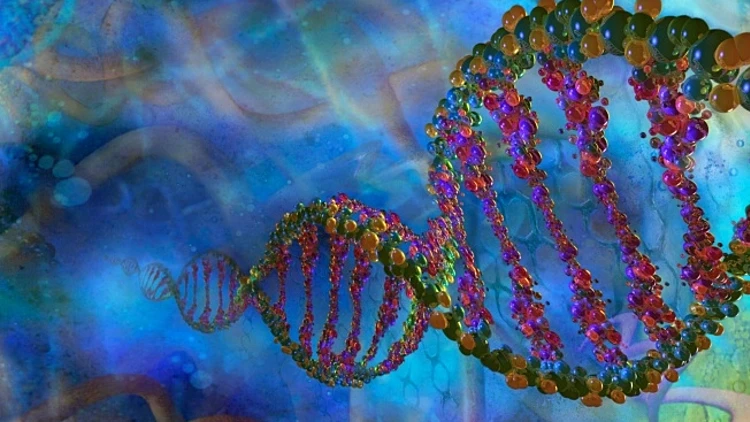 הדמיה גרפית של סליל דנ"א DNA החומר הגנטי