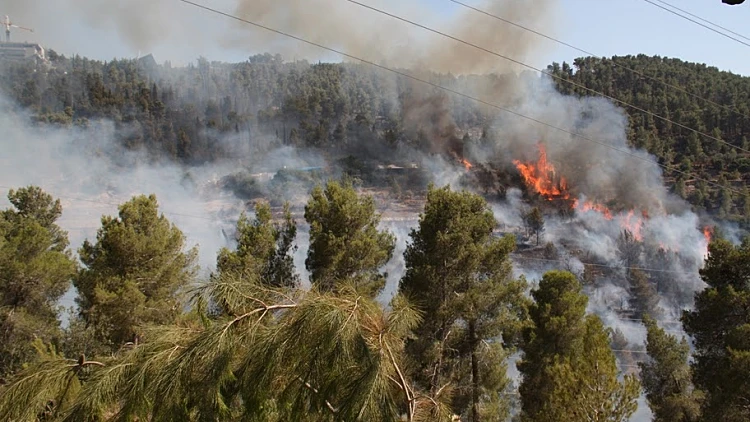 שריפה ביער ירושלים
