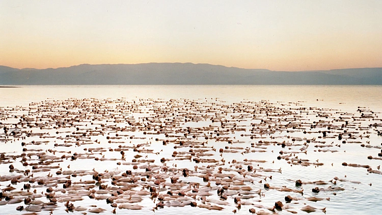 צילום העירום של ספנסר טוניק בים המלח
