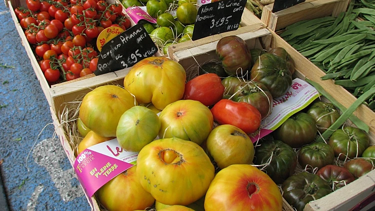 עגבניות, בכל מיני צורות, בשוק של איל סור לה סורג לכתבת טיול בפרובאנס