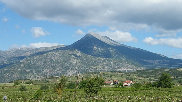 כרמים על רקע הר ביוון תמונה ראשית ולהפניות