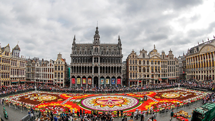השוק המרכזי בבריסל, בירת בלגיה, מוקף במרבד פרחים