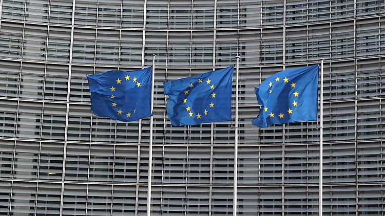 דגלי האיחוד האירופי