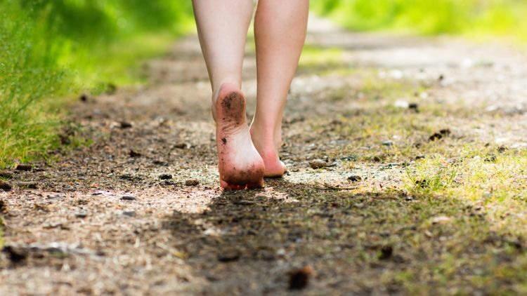 Woman,legs,walking,in,summer,forest.,barefoot,and,health,concept.