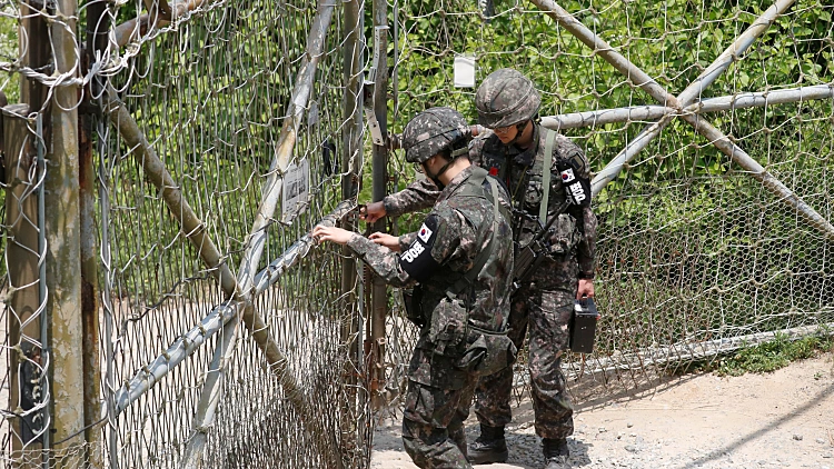 חיילים בצבא דרום קוראיה בגבול עם צפון קוריאה