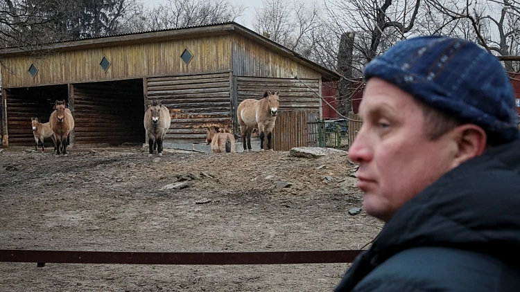 מנהל גן החיות של קייב במהלך הפלישה הרוסית לאוקראינה