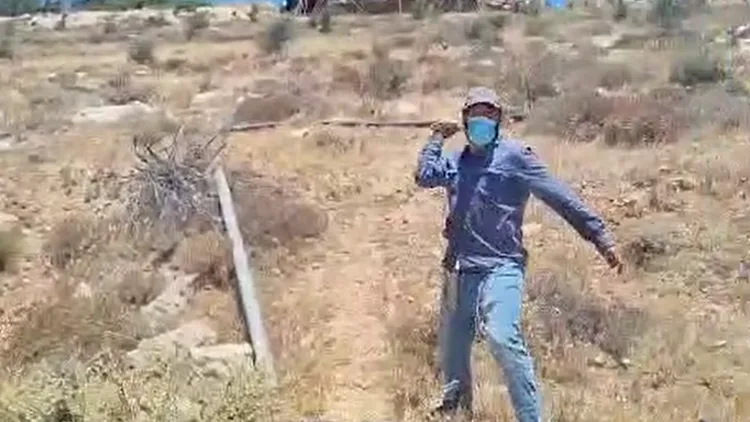 מתנחלים יידו אבנים לעבר פעילים בדרום הר חברון