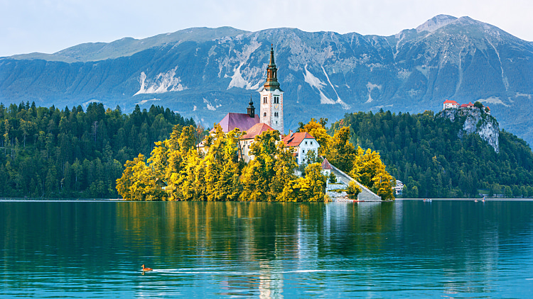 Sunrise,view,on,bled,lake,,island,church,and,castle,with,mountain
