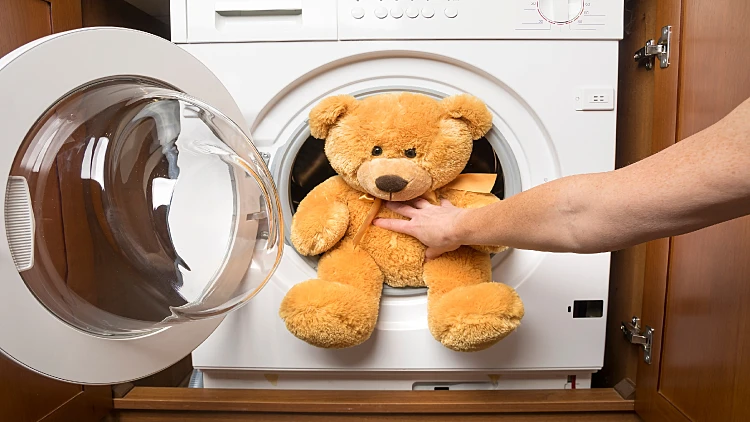 דובי בכביסה