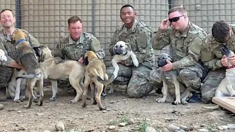 החיילים עם הכלבים שניצלו