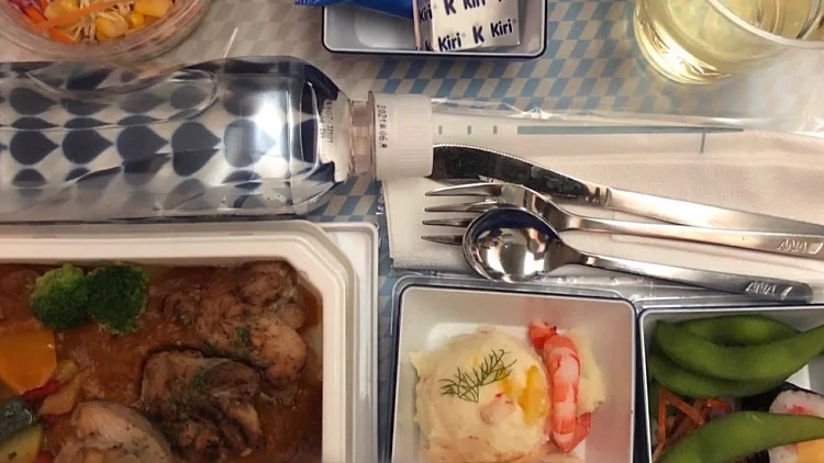 עוף, בקר - או בכלל סנדוויץ': לאן נעלמו הארוחות בטיסות?