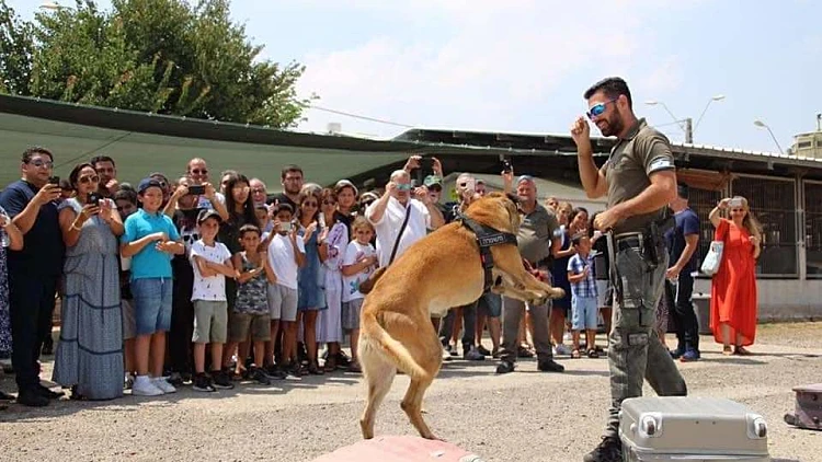 לזכר אופק: תחרות אילוף הכלבים להנצחת החייל שנפטר