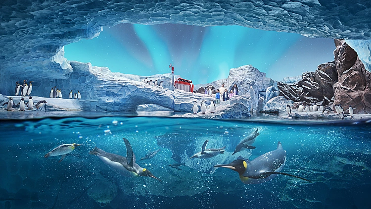 Seaworld Abu Dhabi Antarctic