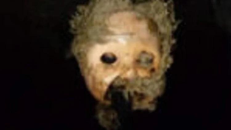 ראש הבובה המבעית שחילצו עובדי חברת טיהור השפכים