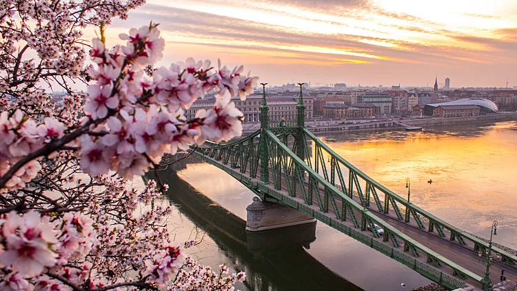 אביב בבודפשט - תצפית מגבעת גלרט