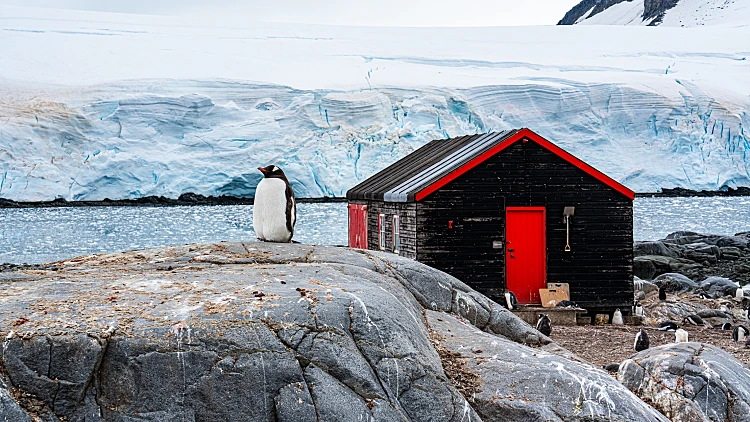Antarctica,,peninsula:,on,wiencke,island,in,februar,2020.,wooden,building