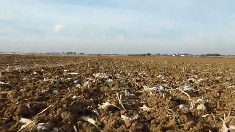 הגשם לא בא: ההסבר שמאחורי היובש - והתחזית האופטימית