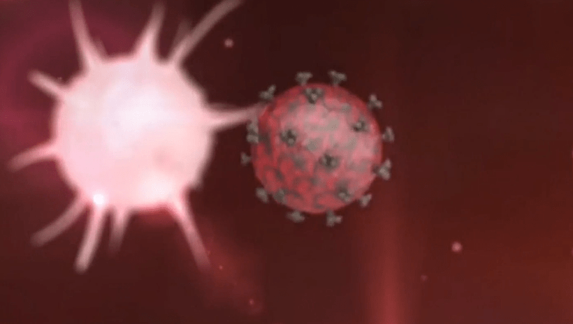  דימוי של נגיף ה-HIV בגוף האדם