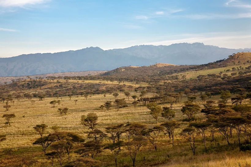 הפארק הלאומי המלכה אליזבת שבאוגנדה -ארכיון
