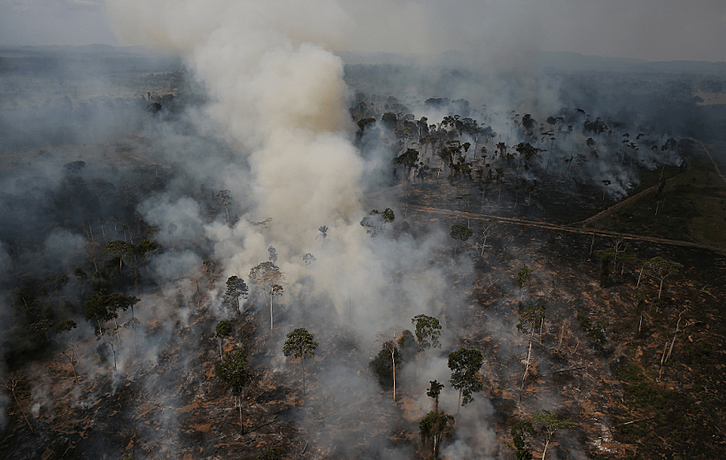 שריפת ענק ביער האמזונס בברזיל