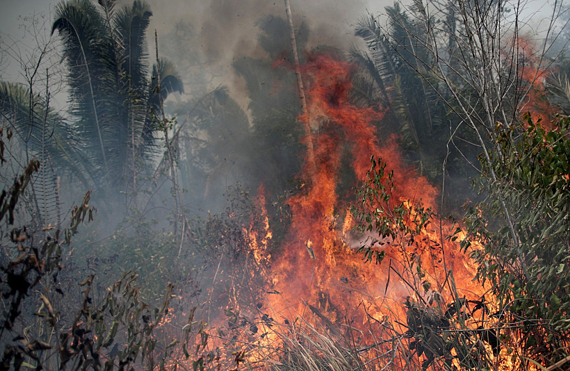 השריפה המשתוללת ביער האמזונס