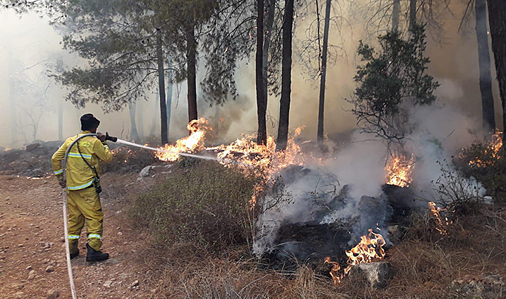 שריפת יער ליד בית שמש כביש 375