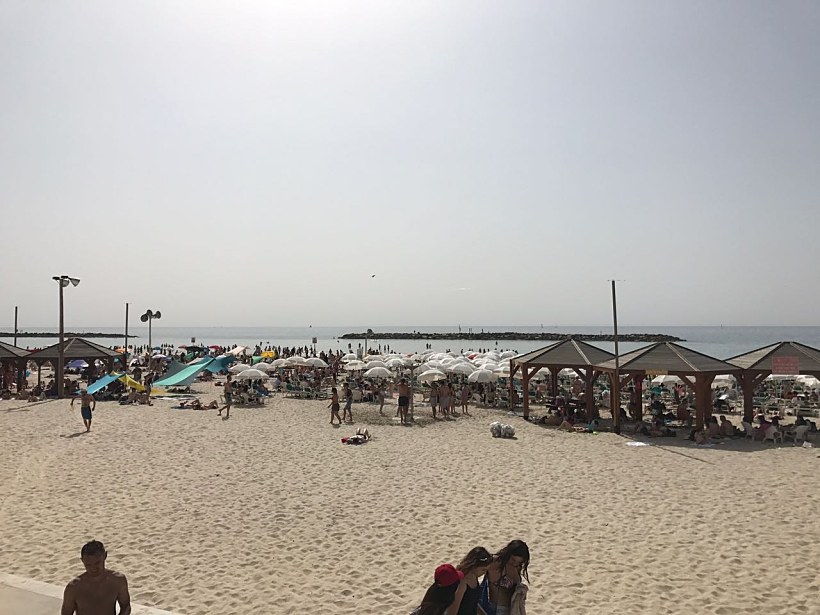 מתרחצים בחוף בתל אביב