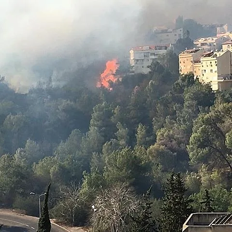 שריפה שפרצה בכרמל בחיפה