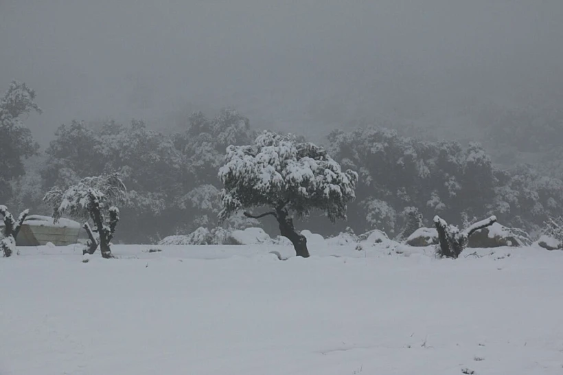 שלג בצפון בסערה האחרונה, מבצר נמרוד, נחל בניאס