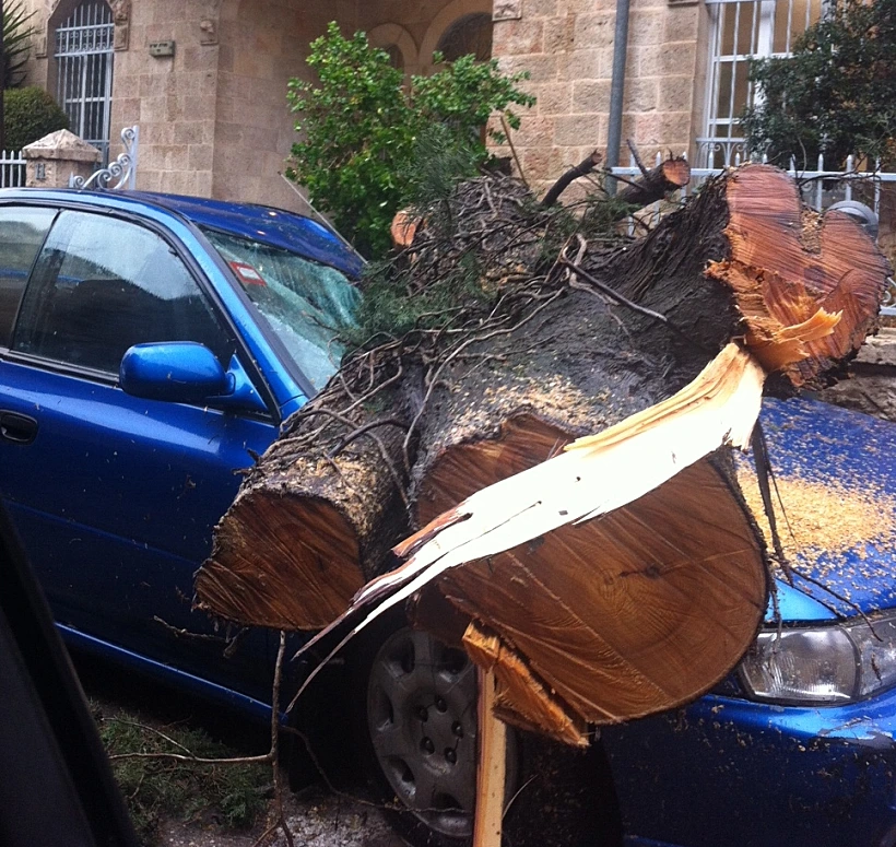 עץ קרס על רכב בירושלים
