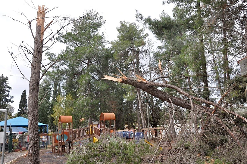 נזקי הסערה במועצה אזורית חוף הכרמל