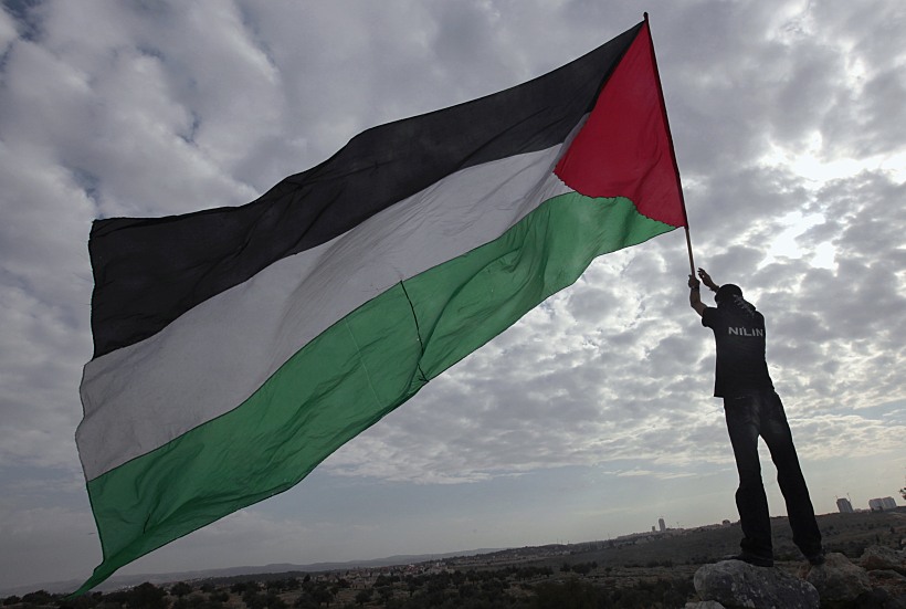 מפגין פלסטיני מניף דגל פלסטין בהפגנה