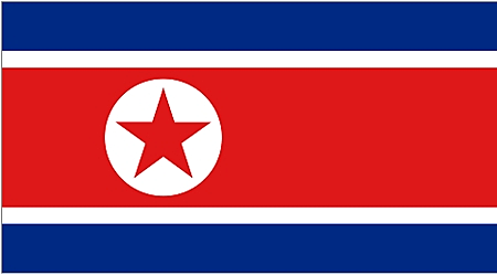 דגל צפון קוריאה מונדיאל 2010