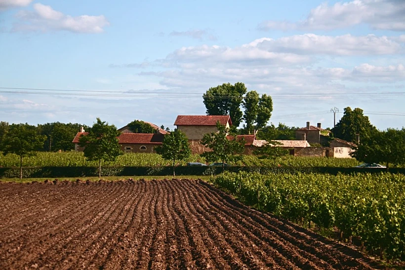 כרם בבורדו שבצרפת לכתבה על טיול יין באזור  מתחם עולם היין בתוך הכתבה על כל הרוחב