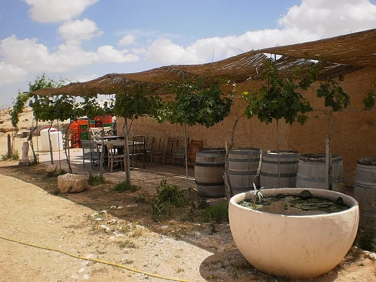 אזורי יין בישראל - נגב, יקב רוטה, תמונה בתוך הכתבה על כל הרוחב