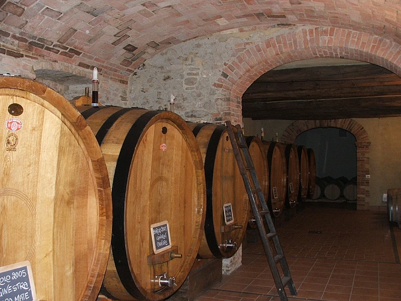 כרם בחבל פיאמונטה לכתבה על טיול יינות באזור. תמונה בגודל מותאם אישית