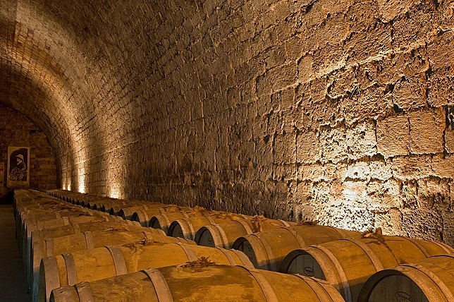 תמונה של מרכז תרבות היין של יקבי כרמל, כתבה על סיור יקבים באזור הכרמל תמונה בתוך הכתבה על כל הרוחב