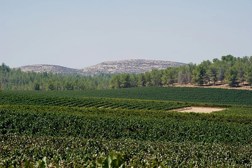 אזורי יין בישראל - נגב, כרם יתיר, תמונה בתוך הכתבה על כל הרוחב ולהפניות בכתבה על אזורי יין בנגב